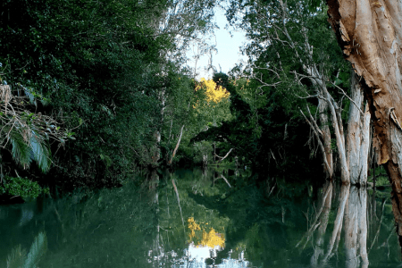 visit conway national park from airlie beach