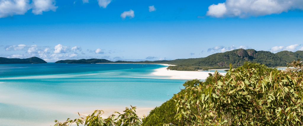 best day trips from airlie beach