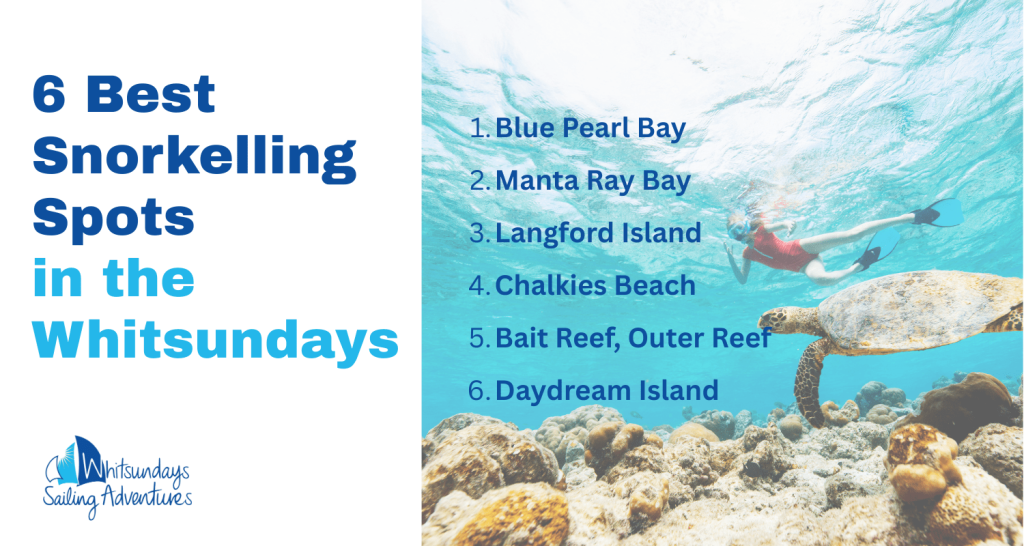 best snorkelling spots in the whitsundays