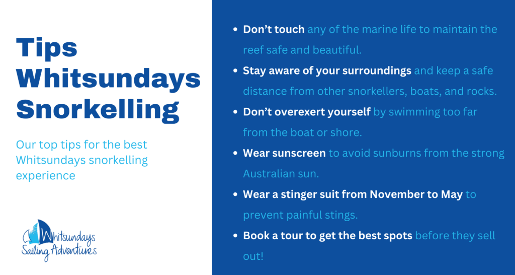 tips for whitsundays snorkelling