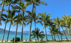 what are the best islands to visit in the whitsundays