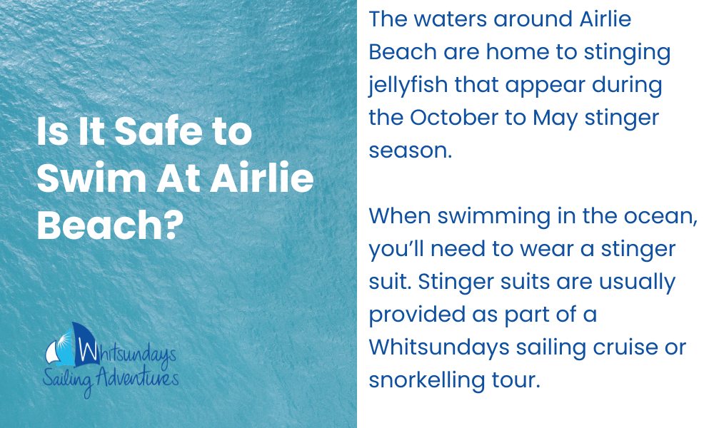 infographic for swimming at airlie beach