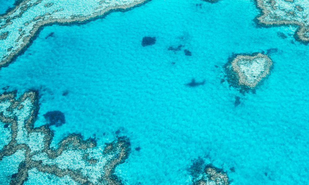 How to get to the Whitsundays, Travel Guide