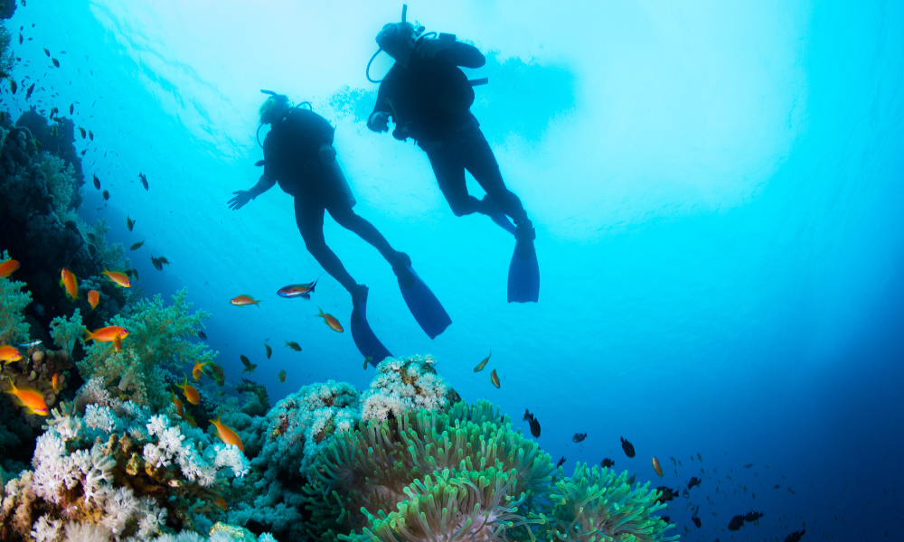 Scuba diving Whitsundays
