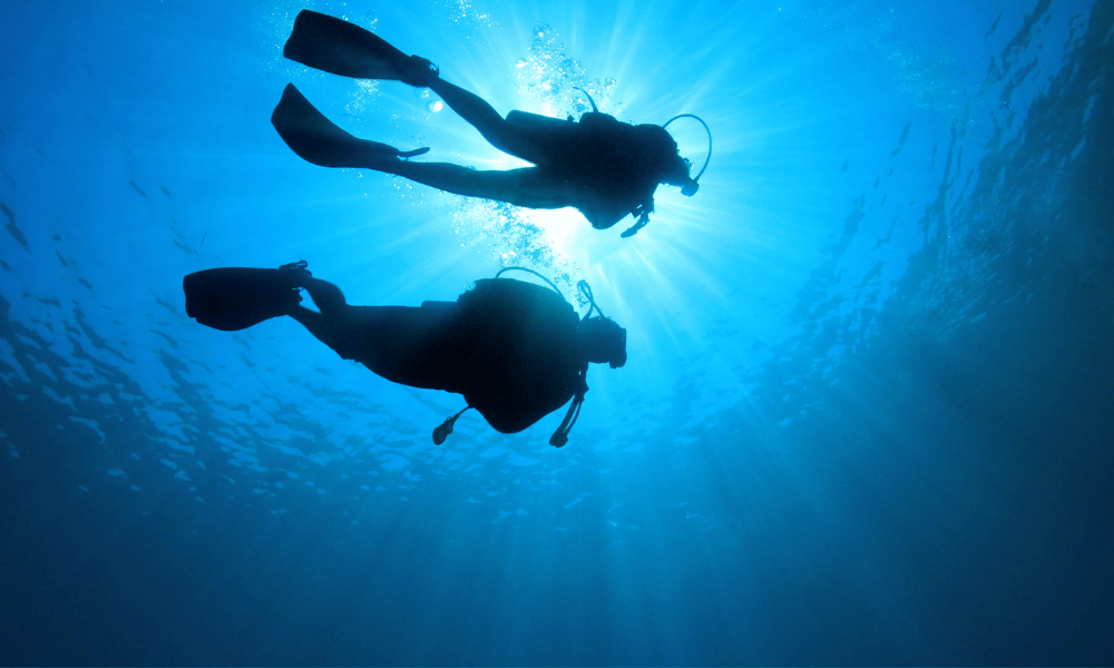 10 Best Scuba Diving Spots in the Whitsundays