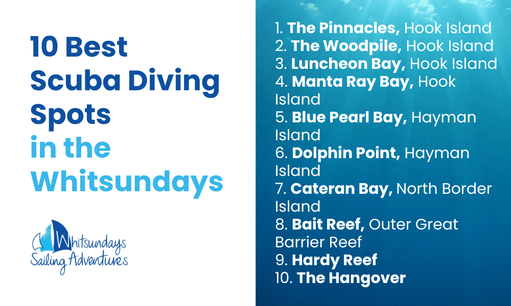 10 best scuba diving spots in the Whitsundays