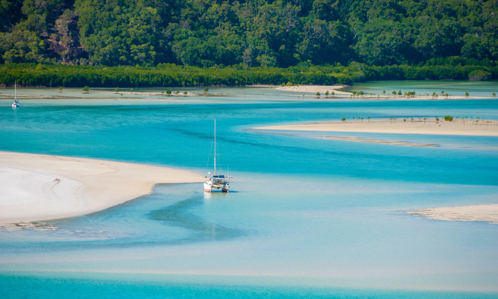 Banner for what to bring on a Whitsundays island tour