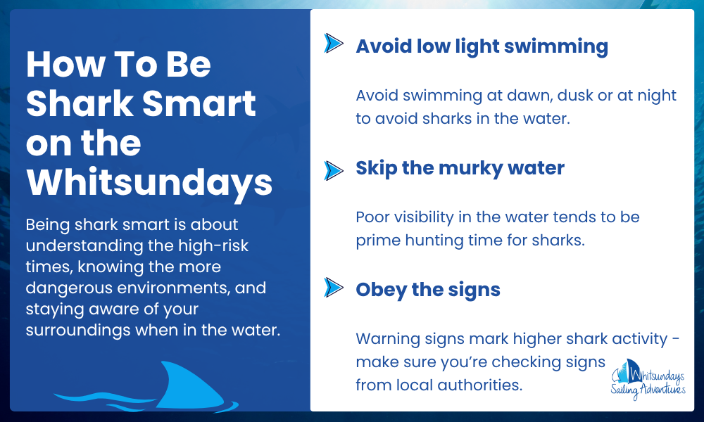 How To Be Shark Smart on the Whitsundays