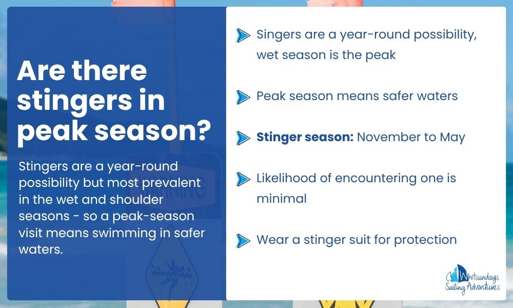 Are there stingers in the Great Barrier Reef in peak season?