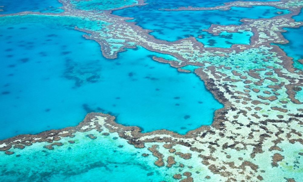 Best Time to Visit Great Barrier Reef